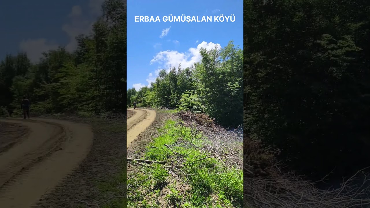 ERBAA GÜMÜŞALAN KÖYÜ 09 Haziran 2026