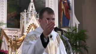 What Is the Purpose of Your Life? - Fr. Jonathan Meyer - 4.16.17