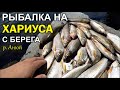 Июль, Анюй 2017. Горные реки Хабаровского края (HD)