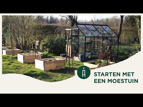 Video: Hoe Om Te Gaan Met Wortelvlieg In De Tuin