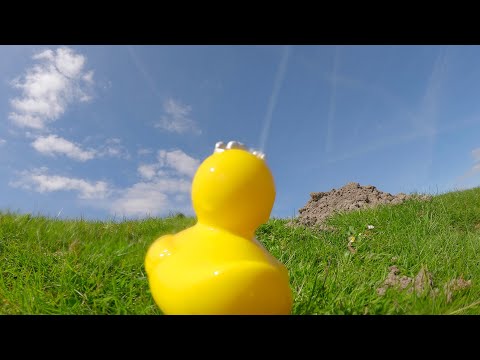 Prins S. en De Geit - De Duck (Official Music Video)