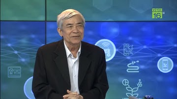 Nguyên nhân và cách khắc phục khi nhiều cá trong ao bị trùng mỏ neo