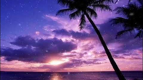 تلاوة بأداء آسر يخشع له القلب من فجريات عام 1428 هجري للقارئ ناصر القطامي