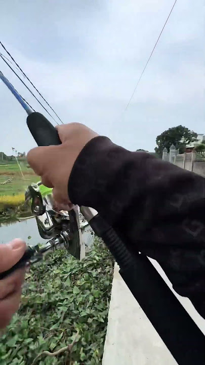 casting gabus di selokan depan rumah prt9❗#mancing #casting #hobimancing #castinggabus #fishing