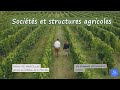 Agriculture  un notaire vous explique les diffrentes formes dexploitation agricole