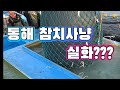 동해안 참치 사냥 도전!! 참다랑어 해체쇼 // 생참치 같이 드시죠. /Let's catch some tuna and eat it/ マグロを捕まえて食べよう。