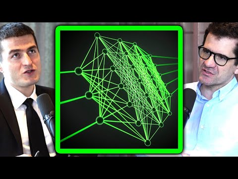 How neural networks learn | Oriol Vinyals and Lex Fridman