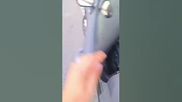 Как растут плоды Киви