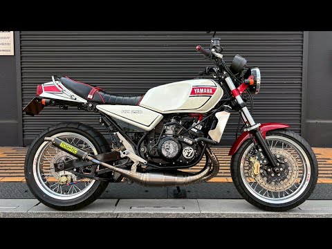 ヤマハ　RZ250R 純正ホイール　リヤ　バイク レストア rz250【ホイールのレストア】レストアvol.4【rz350】rd250lc