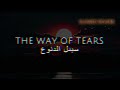 The way of tears i slowed reverb i muhammad al muqit