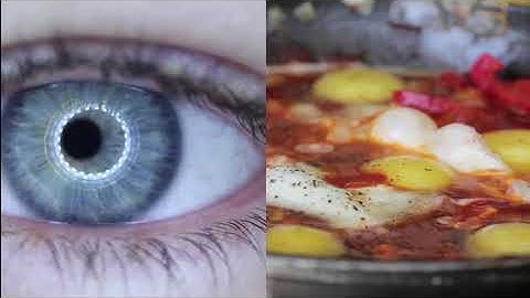 Multisensory Design: Engaging the Senses through Digital Experiences - Intro