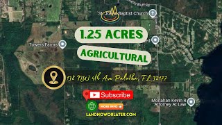 138 NW 4th Ave 1+ acre in Palatka for just $297/mo by LOG