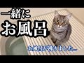 お風呂好きな猫がついてくるので、一緒にお風呂に入ってみた。