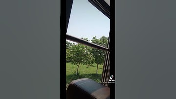 #MNS#university #fun#tissueculture