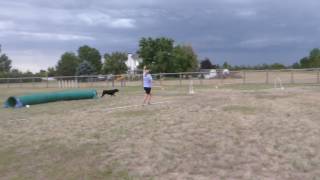 Dora E Chances Popsicle