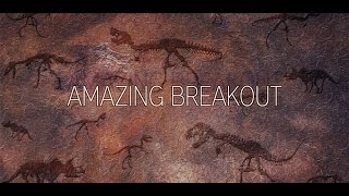 Amazing Breakout