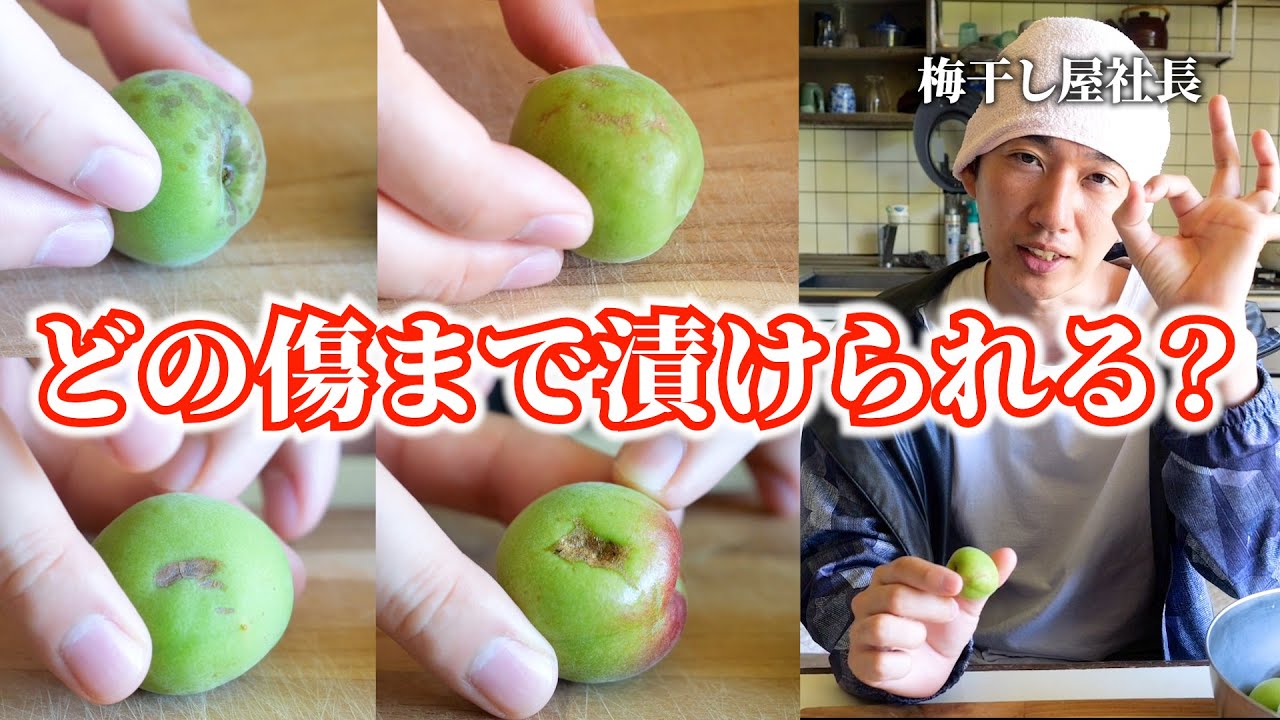 梅農家直伝】青梅の傷の見分け方を一粒ずつ解説します！ - YouTube