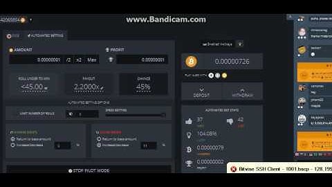 from 0 to 1 btc. how to fuck the system bitsler(part 1) 09