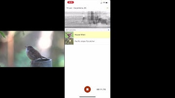 Merlin Sound ID demo