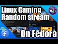 Linux Steam | Runescape 3 Daily's | Gnome 46 | Fedora 40 |