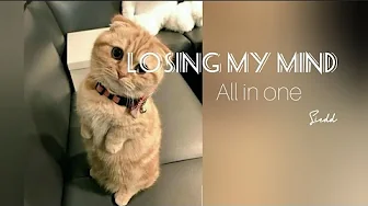 Losing My Mind - Siedd (Slightly Remix | Slowed + Sped Up + Mashup) - Download (Note : It's halal) Losing My Mind - Siedd (Slightly Remix | Slowed + Sped Up + Mashup) - Download (Note : It's halal)
