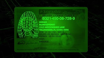 Envera Systems: VGG with ADLR