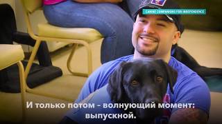 Как в США дрессируют собак-помощников для людей с ограниченными возможностями Как в США дрессируют собак-помощников для людей с ограниченными возможностями