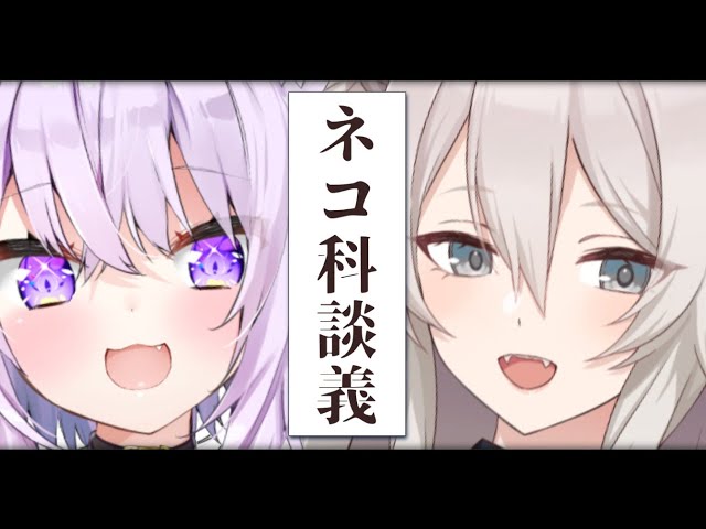 【雑談】ぼたんとおかゆのネコ科邂逅【#ぼたゆん/ホロライブ】のサムネイル