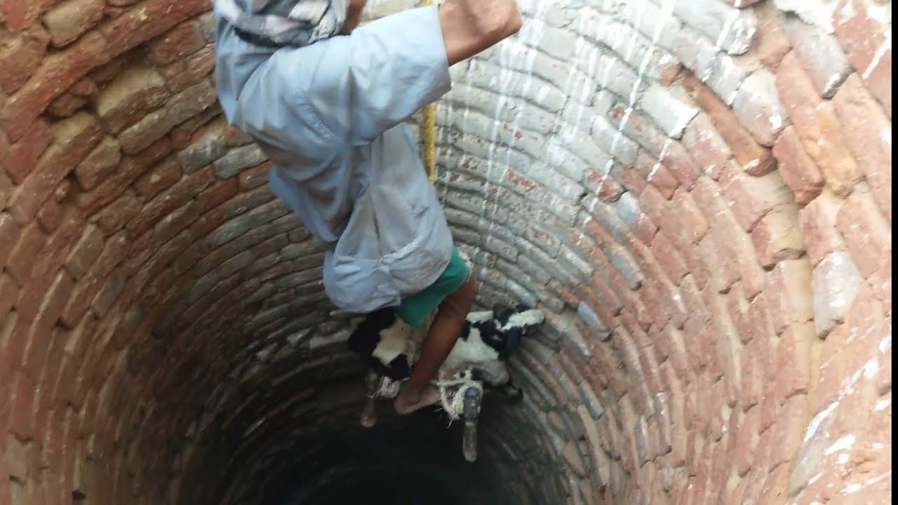 Old Man Rescue a Goat from the Well, 100 feet Deep Well | Lalipur ...