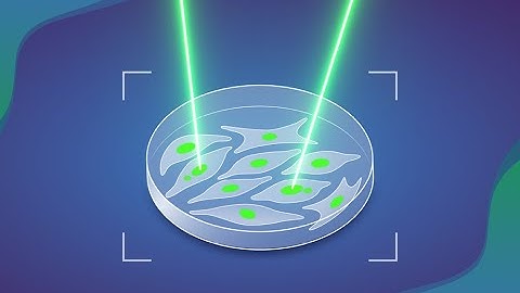 Machine learning-assisted genomics and imaging convergence (MAGIC)