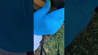 17th Visit - Apiary 2 - Re-marking Queen 2a