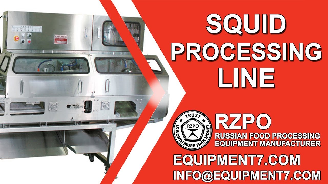 Squid processing line. Squid Belly Opening. Gutting Machine - YouTube