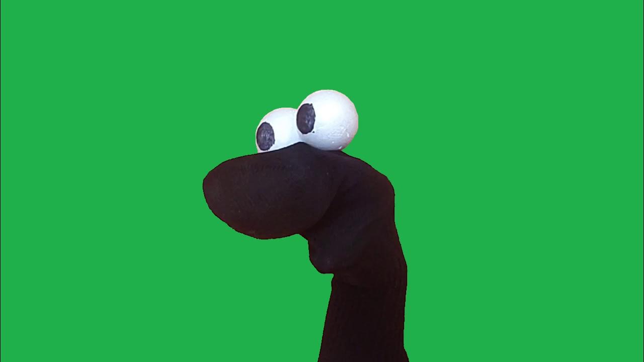 Disgusted Sock Puppet Meme Template (Green Screen) YouTube