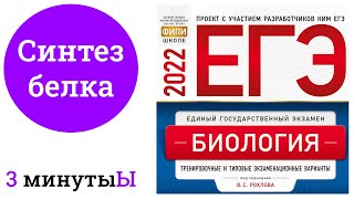 Биосинтез белка | Рохлов 2022 | Разбираем тесты ЕГЭ по биологии