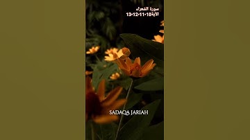 سورة الشعراء الأية 10•11•12•13