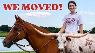 WE MOVED BARNS!