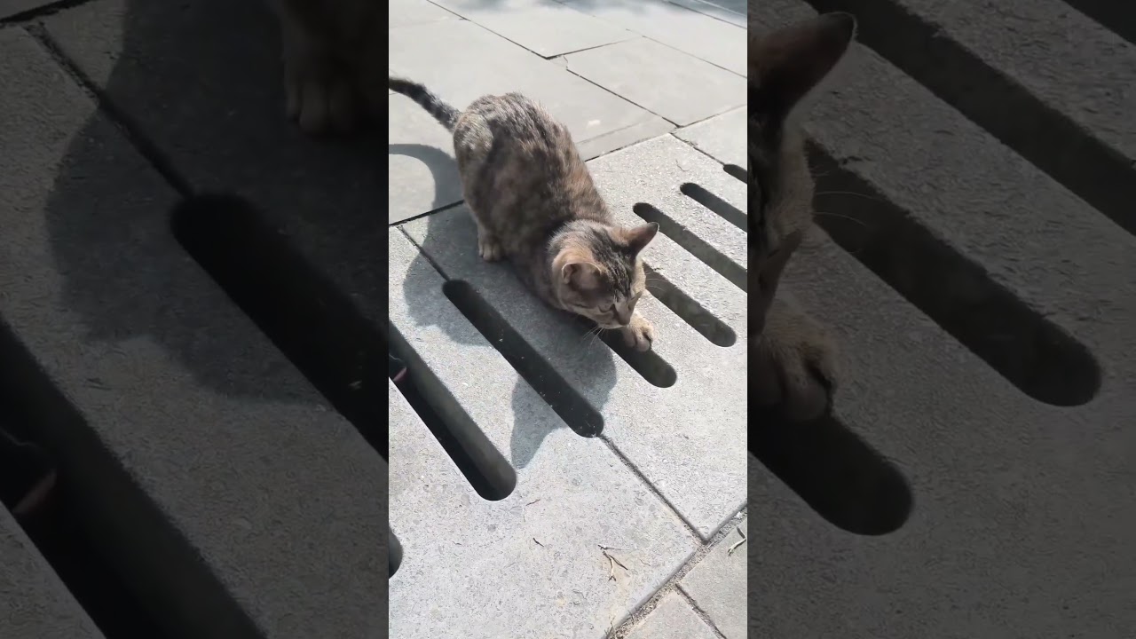 Crazy, but make it cute