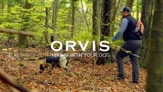 ORVIS  How to Hike with Your Dog