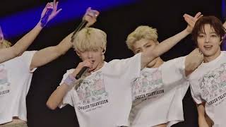 Firework - &Team Song For Children 24-Hour Tv Charity Live 2025