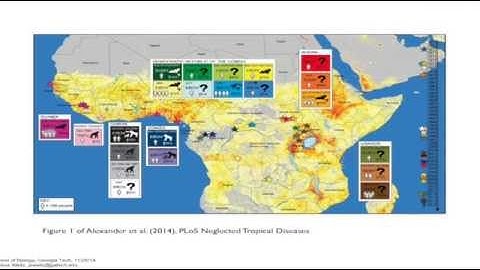 Mathematical Models of the Ebola Epidemic in West Africa: Principles, Predictions, and Control