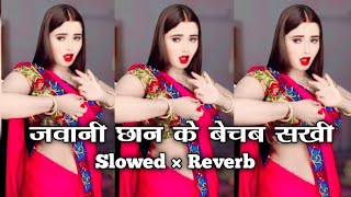 जवानी छान के बेचब सखी नहियर के चौक पर ( #Slowed   Reverb ) Bhojpuri Tranding #Lofi Song