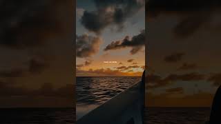 The Weeknd  Earned It s