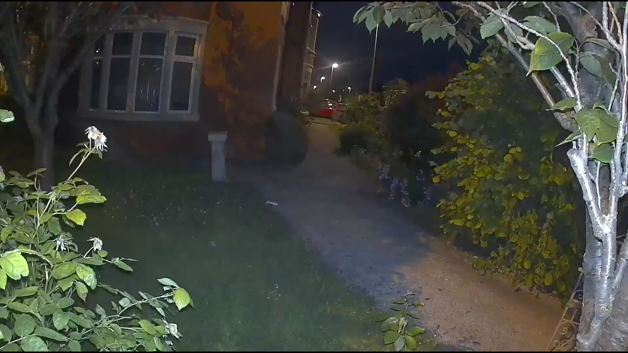 Arlo Go 2 Review -  Night Footage Fox