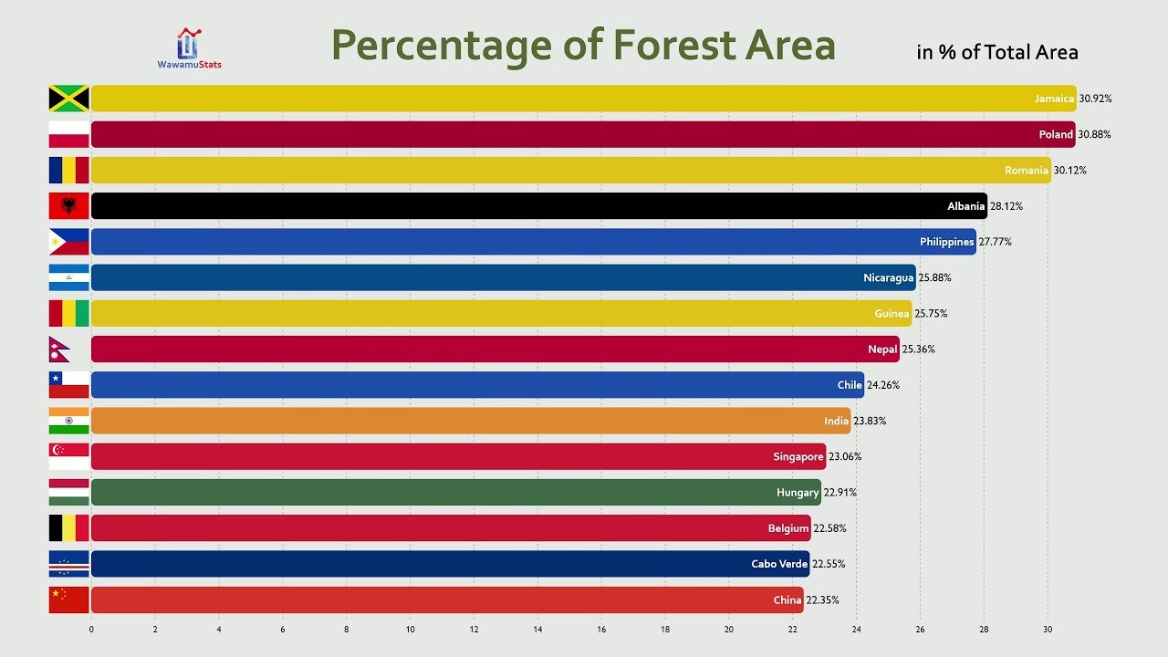 All Countries Percentage Of Forest Area Comparison 2019 YouTube All Countries Percentage Of Forest Area Comparison 2019 YouTube