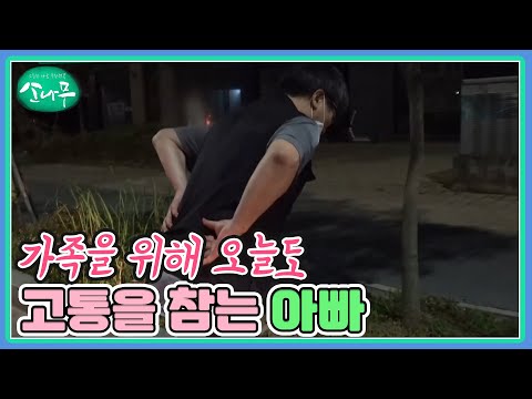 가족을 위해 오늘도 고통을 참는 아빠 MBN 241007 방송