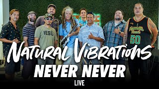 Natural Vibrations - Never Never (Live)