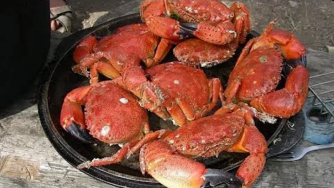Как ловить крабов на чёрном море? Хороший улов. Посёлок Орджоникидзе.