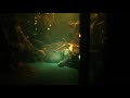 The Gold River Project - Settler Camp