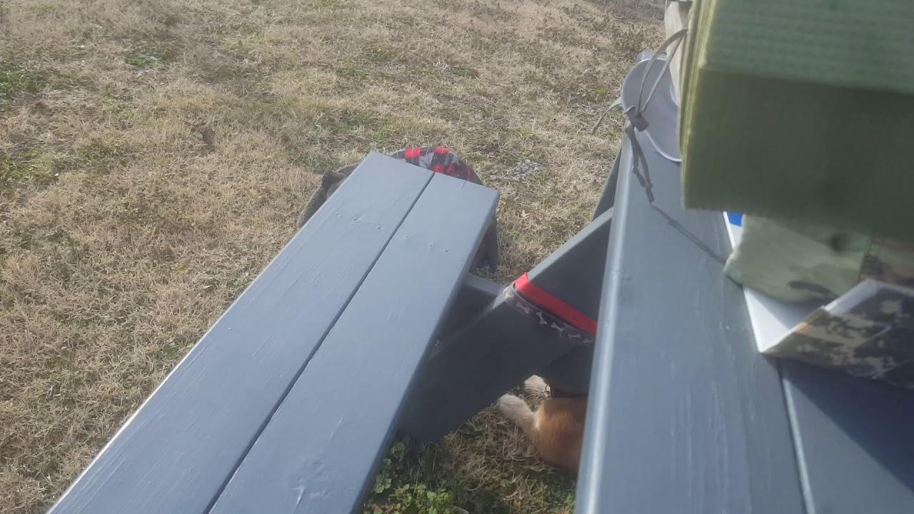 Hartshorne , Oklahoma. YouTube