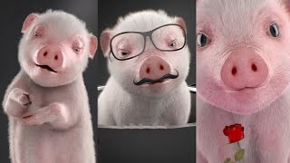 Pig cute part 01 - Great Creative #shorts